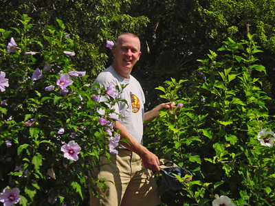 Greg with 4-years-to-bloom althea (on the right) by 'Blue Angel' (full of bloom on the left)!!!