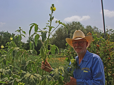 Malcolm Beck with his Beck's Big okra