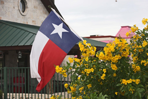 Gold Star Esperanza with Texas Flag in Junction, Texas