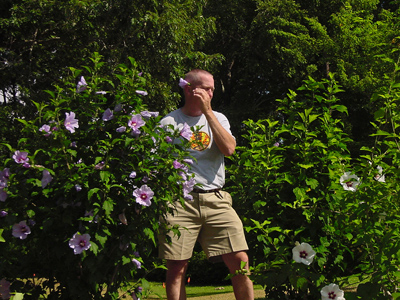 Greg has to get flowers from 'Blue Angel' for the image since THERE ARE NONE on the 4-years-to-bloom althea. Greg has to get flowers from 'Blue Angel' for the image since THERE ARE NONE on the 4-years-to-bloom althea.
