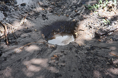 After the drilling the hole is 24 inches deep, the subsoil and the topsoil has been moistened and a hole remains for more waterings later.