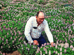 John Fanick in Lavender bluebonnets later named Barbara Bush