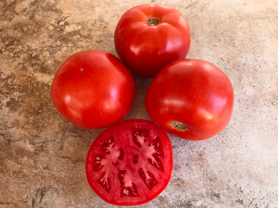 Rodeo Tomato for 2022 – STM2255 (Hybrid) Tomato