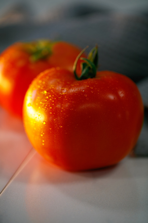 Rodeo Tomato for 2022 – STM2255 (Hybrid) Tomato