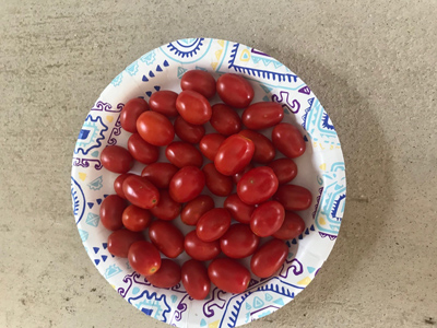 Rodeo Tomato for 2020 – Ruby Crush Grape Tomato
