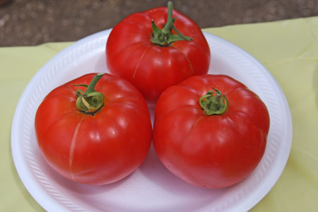 A very uniform sample - stems evenly trimmed, fruit the same ripeness and size.   THIS SHOULD HAVE BEEN A WINNER!