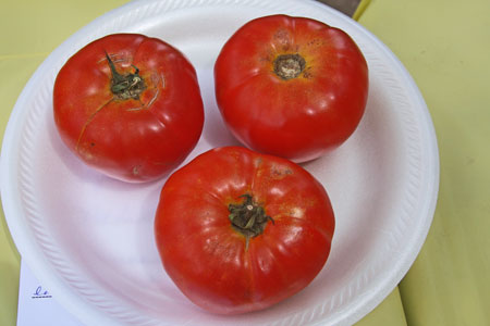A very uniform sample but some stems are missing. The fruit are the same size and ripeness.