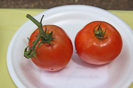 This sample is disqualified because it has only two fruit rather than the required three fruit. This sample is disqualified because it has only two fruit rather than the required three fruit.