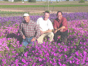 Left to Right -- John Thomas, Greg Grant and Jerry Parsons