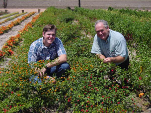 Jeremy and Dad in  Wildseed Peppers