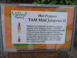 TAM Mild Jalapeno II signage