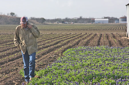 LARRY STEIN talking to GOD about the LADY BIRD ROYAL BLUE BLUEBONNET