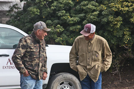 RICHARD VERSTRAETEN and DR. LARRY STEIN DISCUSS LADY BIRD BLUEBONNETS in March 2022