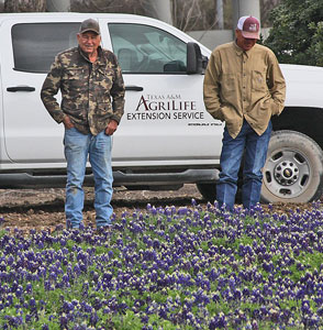 RICHARD VERSTRAETEN and DR. LARRY STEIN admire LADY BIRD BLUEBONNETS in March 2022