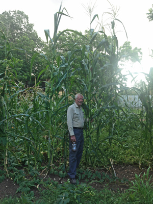 Malcolm Beck by TALL corn