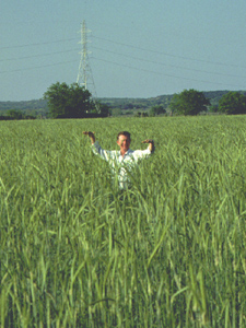 Beck in Cereal Rye '79