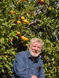 Beck with Satsumas