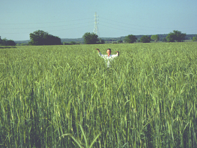 Cereal Rye & Beck '79