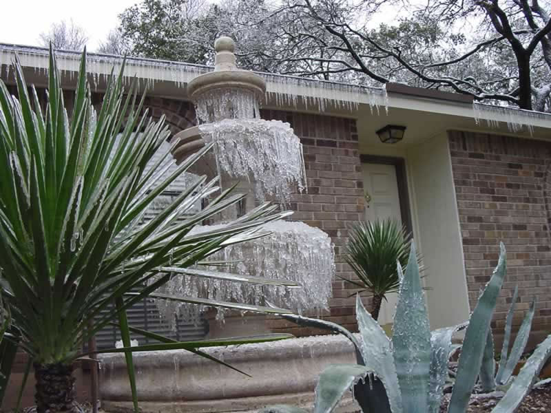 Ice Fountain and tropical plants