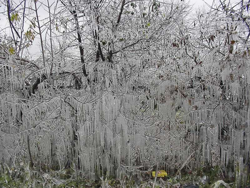 Ice storm 07 by John Faris