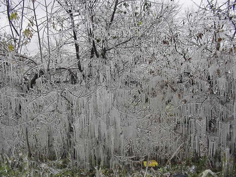 Ice storm 07 by John Faris