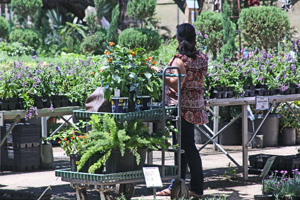 Protected shopper at Milbergers