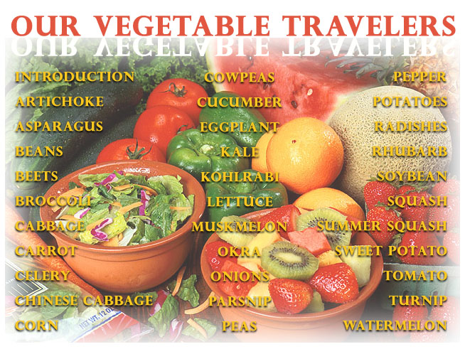 Navigation map with list of garden vegetables.
