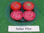 solarfire